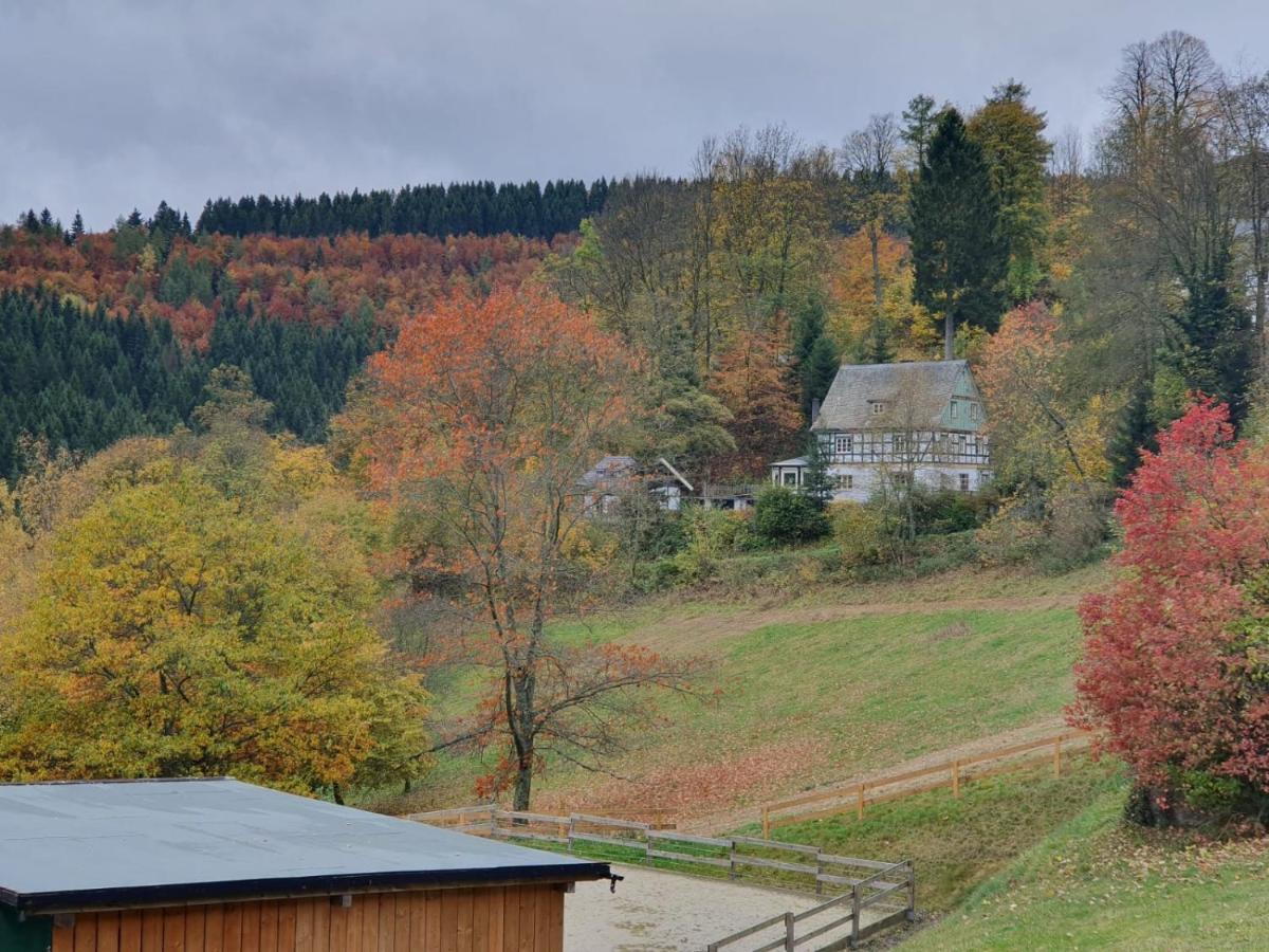 Jagthaus Am Rappelstein Schmallenberg Exterior foto